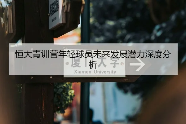 恒大青训营年轻球员未来发展潜力深度分析（jiuyou）